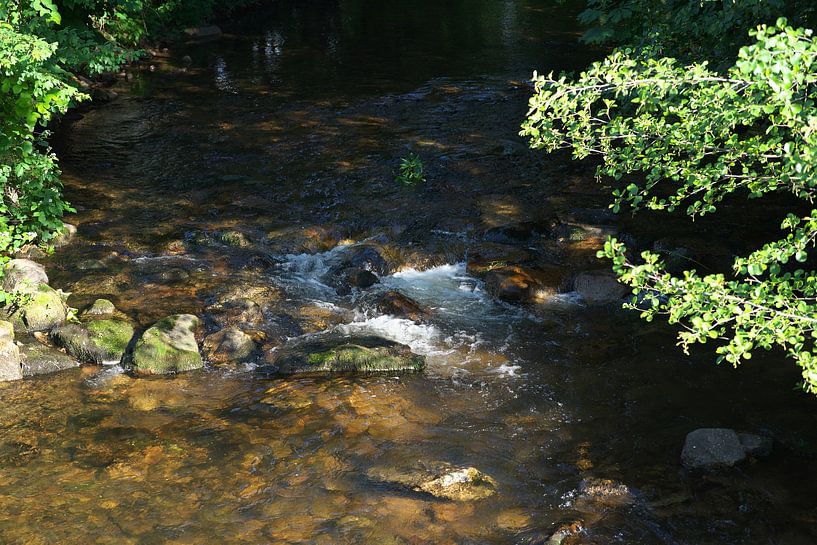 eau, nature par Daniel Dorst