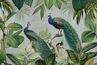 Majestic Peafowls In The Jungle And Vintage Typography