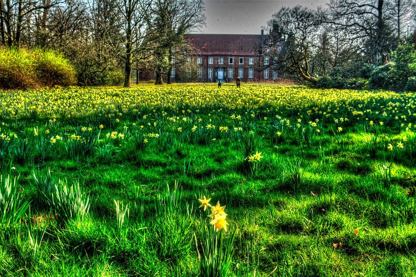 Floraison des narcisses sur la pelouse du château par Edgar Schermaul