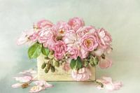 Fleur Romantique - roses roses
