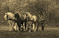 werken met het driespan