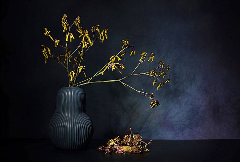 Herbsttraum von Saskia Dingemans Awarded Photographer