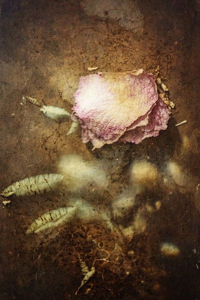 Country- und Retro-Collage: Abstrakte Blume in Vintage-Farbpalette von Arjen Roos