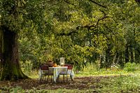 Französische ländliche Szene