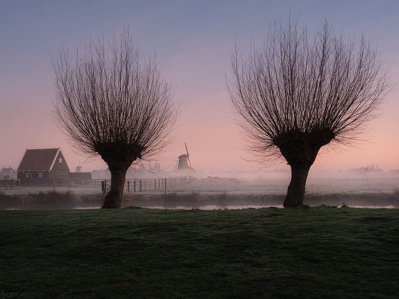 Holland by Patrick Noack