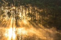 Reflexionen bei Sonnenaufgang