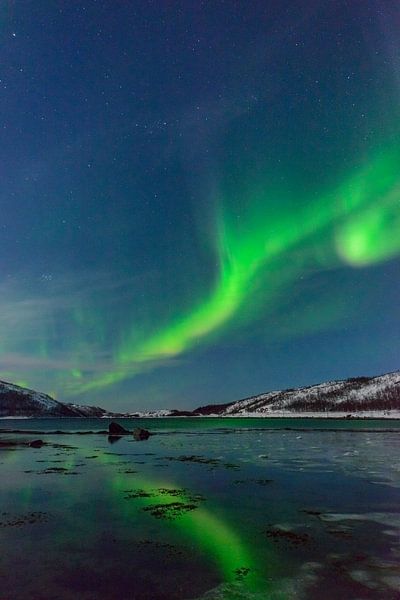 Aurora Northern Polar light in night sky over Northern Norway by Sjoerd van der Wal Photography