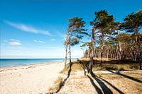Ostsee - Weststrand auf dem Darß
