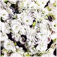 Wellington Neuseeland