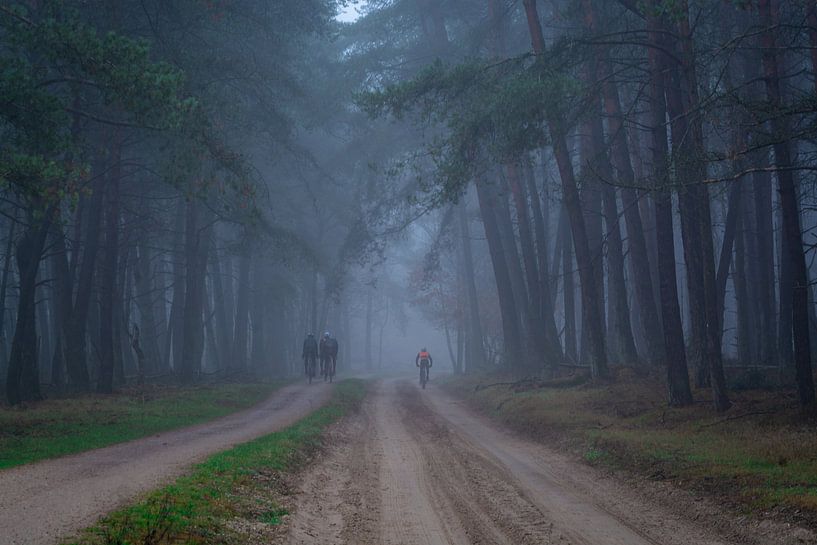 Foggy morning by Mariëlle Weijsenfeld