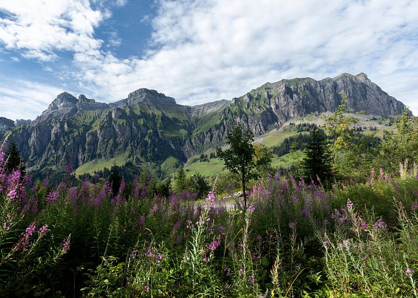 Zwitserland van Edwin Kooren