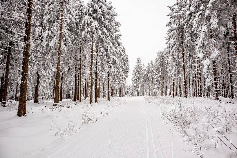 Kleine Winterwanderung im verschneiten Thüringer Wald bei Floh-Seligenthal - Thüringen - Deutschland von Oliver Hlavaty