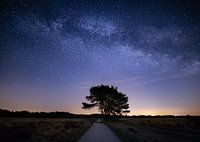 Milky Way above the Veluwe