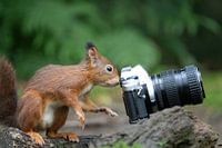 Yes also once took a picture of you.