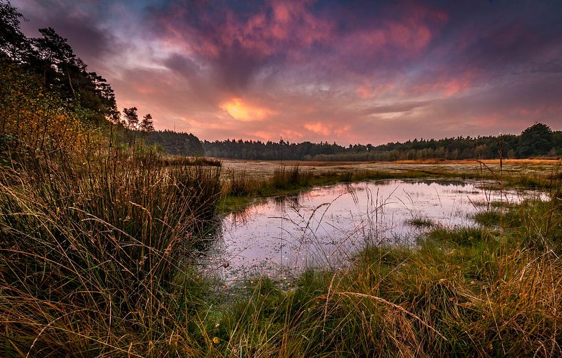 La Ven par Alexander Cox