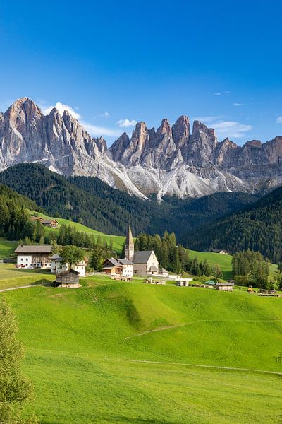 Geisler Groep van Tilo Grellmann