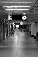 Le calme à Amsterdam