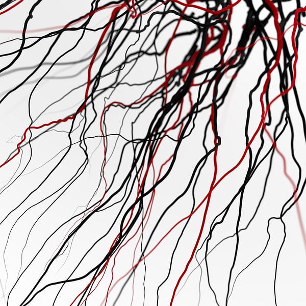 Schwarz-rote Venen von Jörg Hausmann