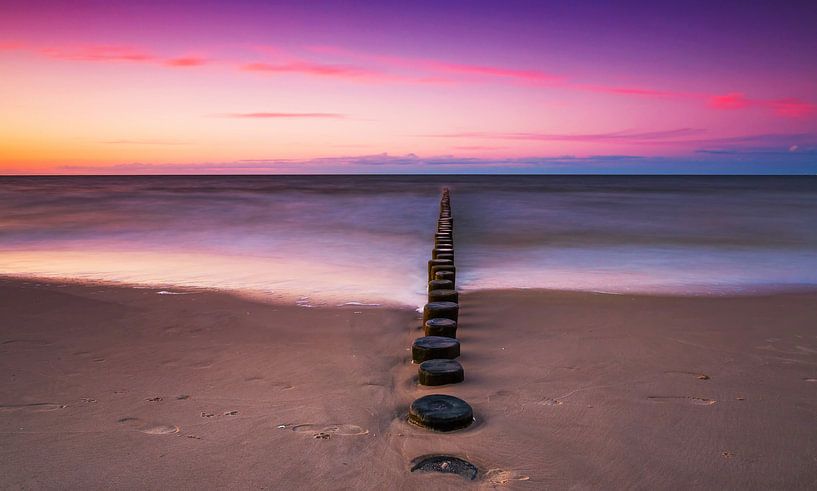 Grognements au bord de la mer au coucher du soleil par Frank Herrmann