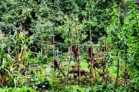 Utrecht - Stadtgarten