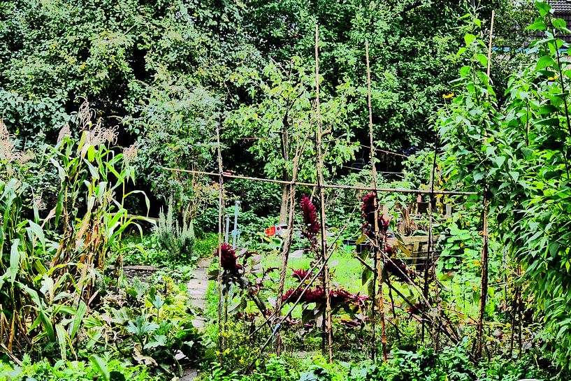Utrecht - Stadtgarten von Wout van den Berg