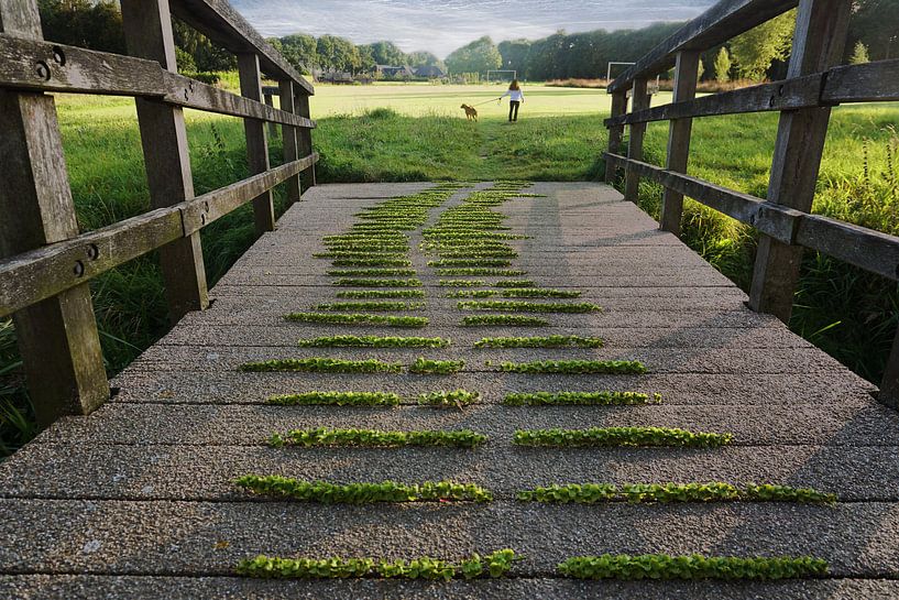 Auf der anderen Seite... von Mies Heerma