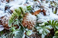 Between autumn and winter 1