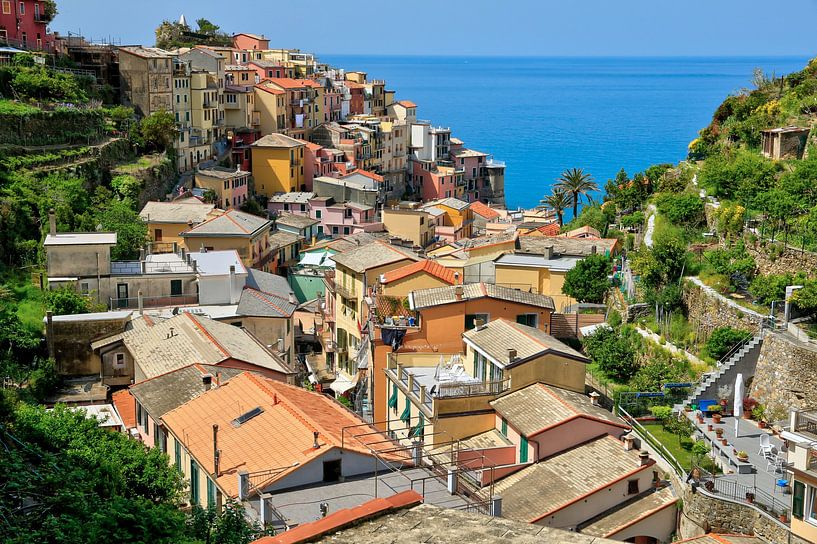 Manarola, Mediterranean beauty. by FotoBob