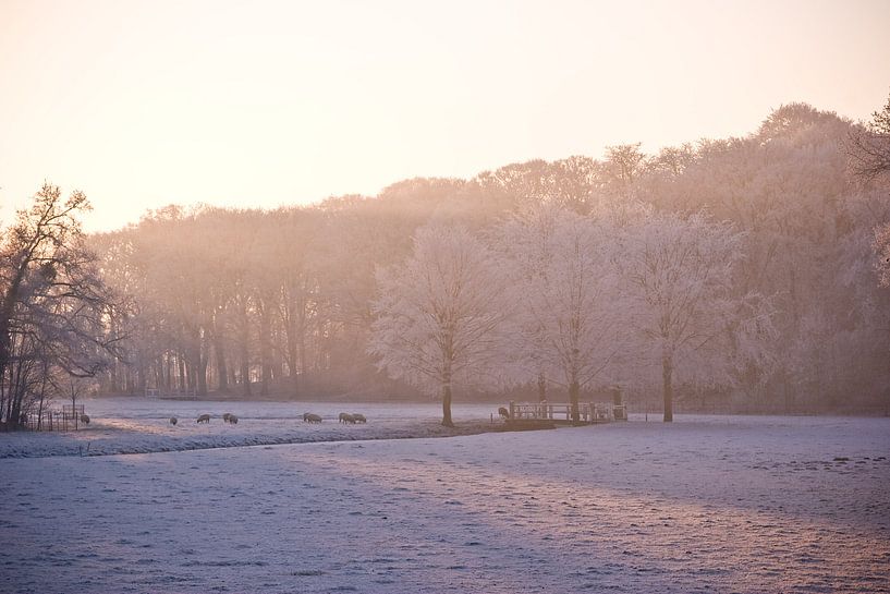 Merveilles d'hiver par Jasper van der Meij