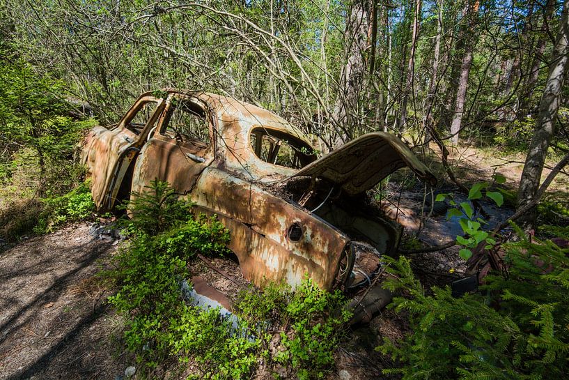 Oldtimer in het moeras van Aurelie Vandermeren