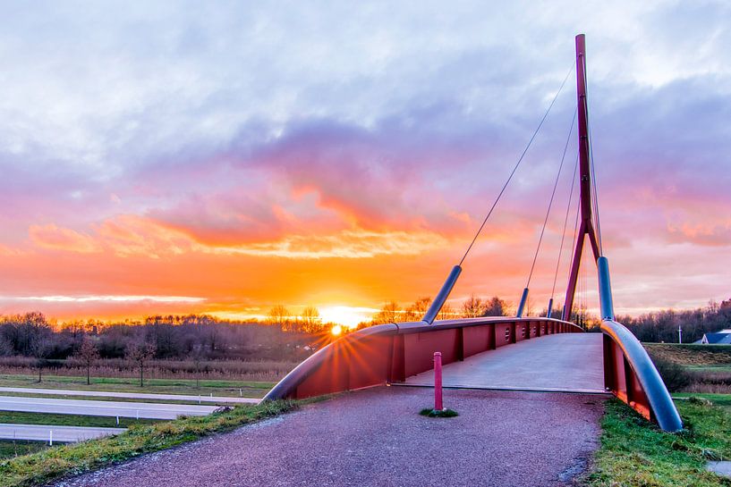 Le tapis rouge par Johan Mooibroek