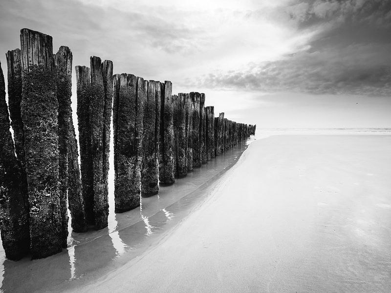 7337 van Nik Valeeva