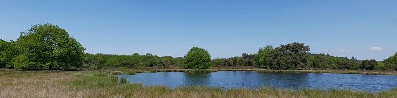 Terhorsterzand au printemps. par Wim vd Neut