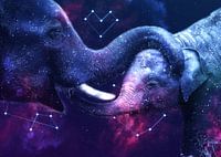 Galaxy Elephant Mom and Baby