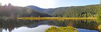 Ambiance automnale au petit lac Arbersee dans la forêt bavaroise