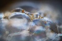 Dance of Light and Foam