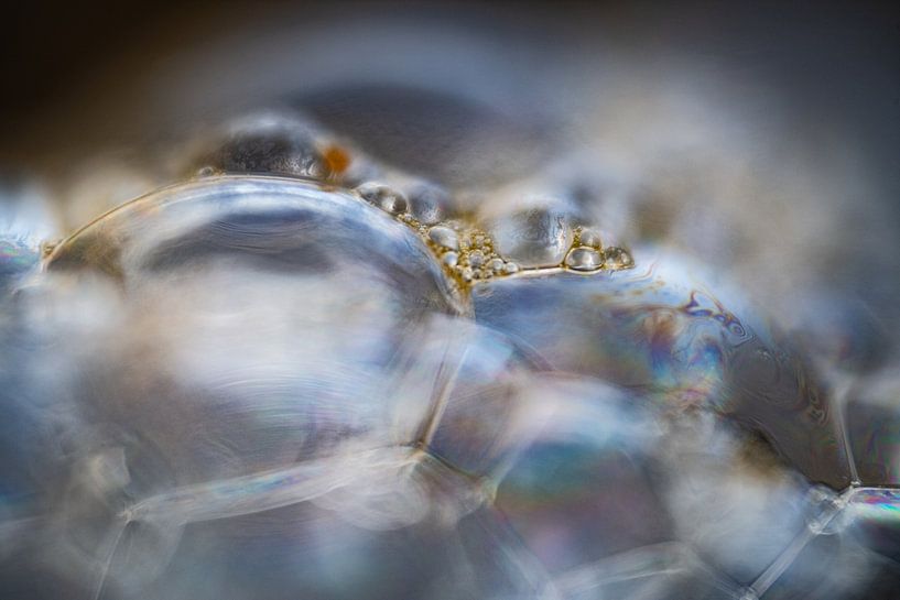 Danse de la lumière et de l'écume par Nanda Bussers