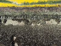 Gelbe Bake mit Muscheln im Hafen von Lauwersoog