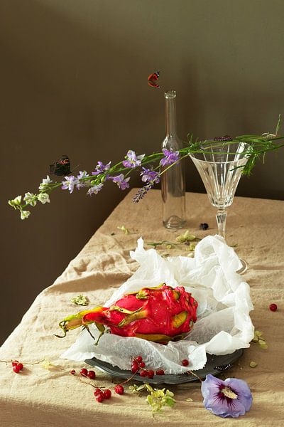Stilleben 'Pitahaya von Willy Sengers