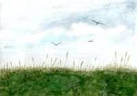 Dune à Dänemarkt, Blåvand