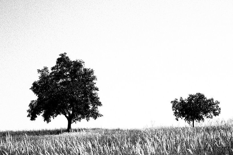 Familie von Forestia Arts