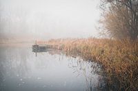 peace and quiet in the Biesbosch
