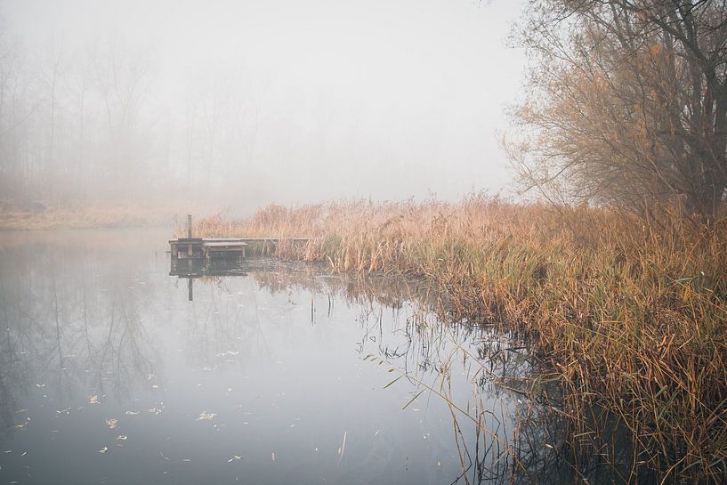 peace and quiet in the Biesbosch by Petra Brouwer