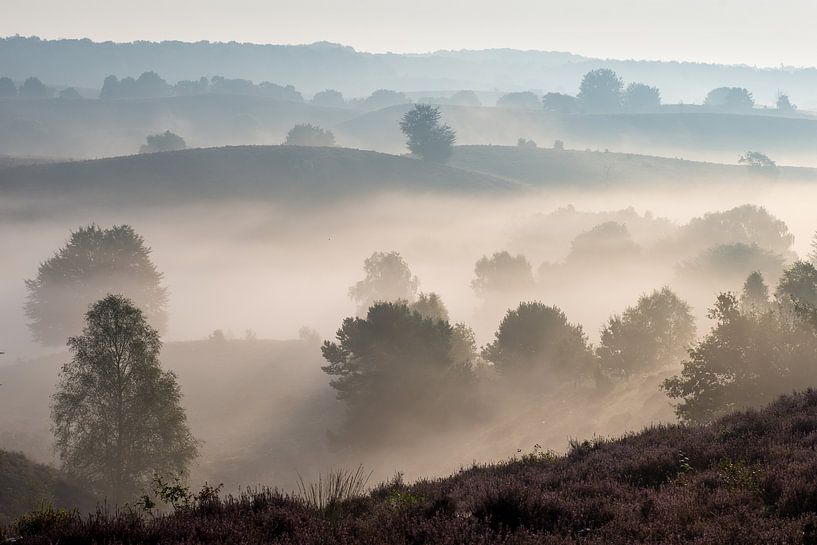 Brouillard terrestre à la Posbank par Martin Bredewold