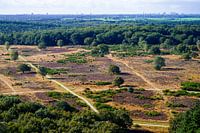 Die Hoorneboeg-Heide aus der Luft [08]