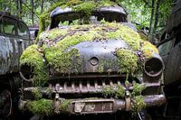Un bel objet ancien dans les bois de Suède