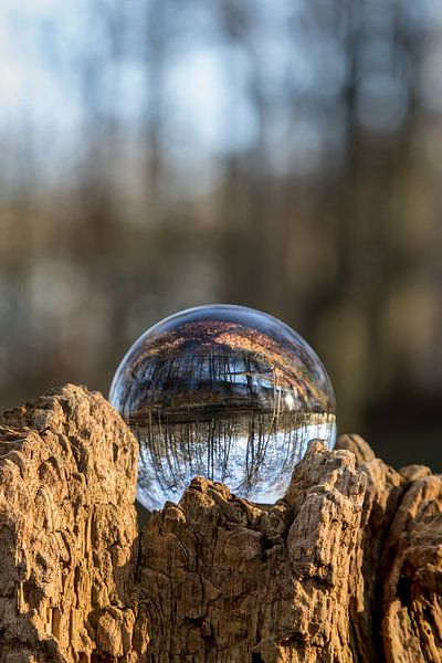 Door een glazen bal #1 von Robert Wiggers