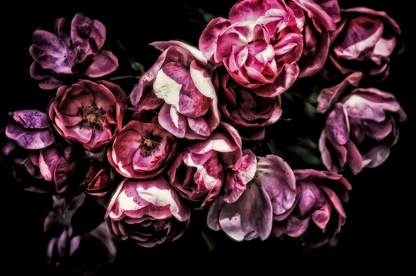 Romantic Vintage Roses von Marlika Art