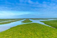 Rast - Wattenmeer bei Paesens-Moddergat
