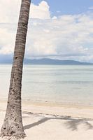 Schatten mit Aussicht